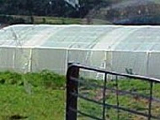 Greenhouse Tunnels South Africa (34)