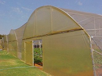 Greenhouse Tunnels South Africa (44)